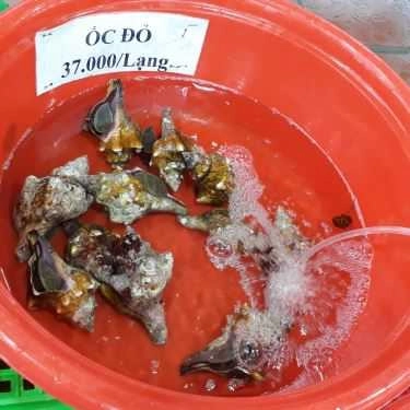 Tổng hợp- Quán Nhậu Hiếu Hào Sữa