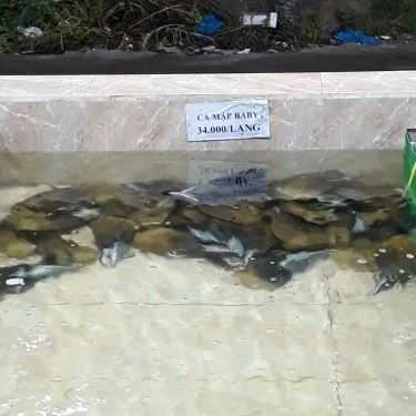 Tổng hợp- Quán Nhậu Hiếu Hào Sữa