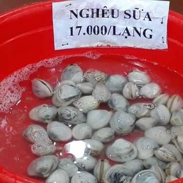 Tổng hợp- Quán Nhậu Hiếu Hào Sữa
