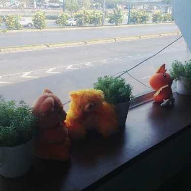 Tổng hợp- High Notes Coffee & Fruit bar