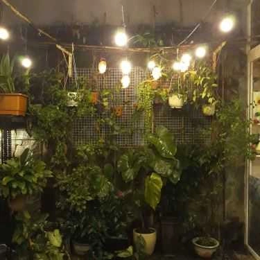 Tất cả hình- Hip's House Coffee & Tea