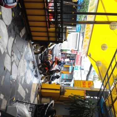Tổng hợp- Cafe Trà Sữa Hoa Hướng Dương - Ngô Tất Tố