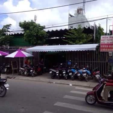 Tổng hợp- Hoa Sim Tím Cafe