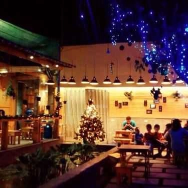 Không gian- Hoa Sim Tím Cafe