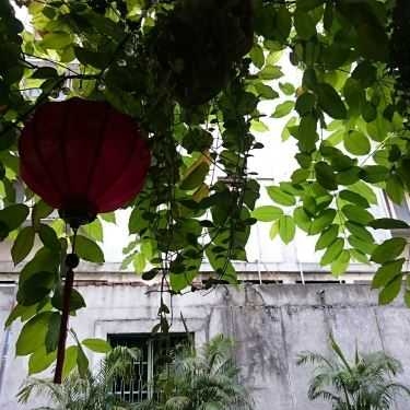Tổng hợp- Hoàng Thị Cafe