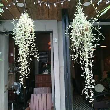 Tổng hợp- Hoàng Thị Cafe