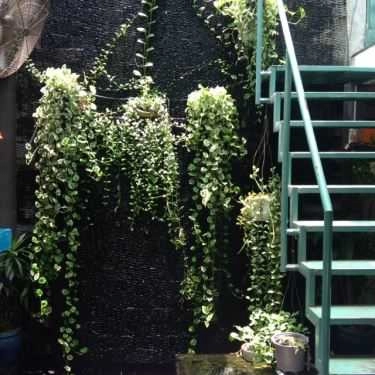 Không gian- Hoàng Yến Cafe - Khổng Tử