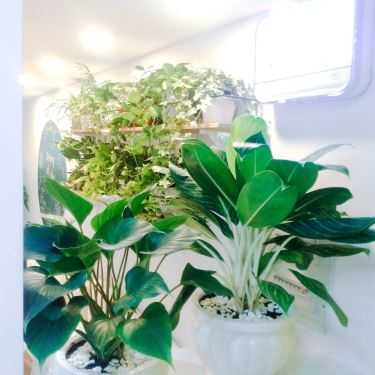 Tổng hợp- Hoduhodu Café - Well-Being Hàn Quốc - Nguyễn Huệ