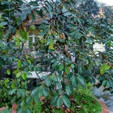 Tổng hợp- Hội Ngộ Cafe - Đường Số 21E