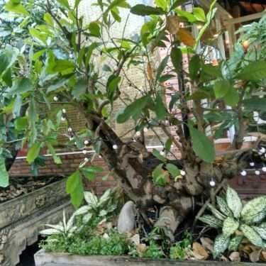 Tổng hợp- Hội Ngộ Cafe - Đường Số 21E