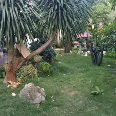 Tổng hợp- Hội Ngộ Cafe - Đường Số 21E