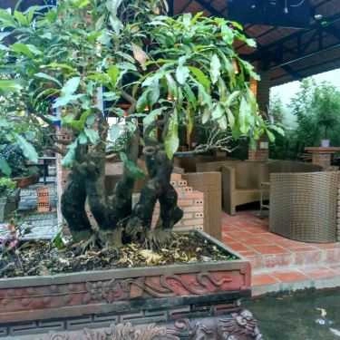 Tổng hợp- Hội Ngộ Cafe - Đường Số 21E