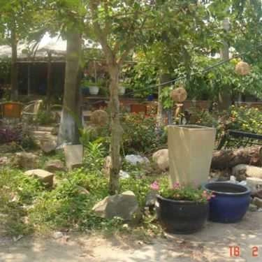 Không gian- Hội Quán Cafe - Làng Đại Học