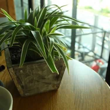 Tổng hợp- Home Coffee & Tea - Bàu Cát