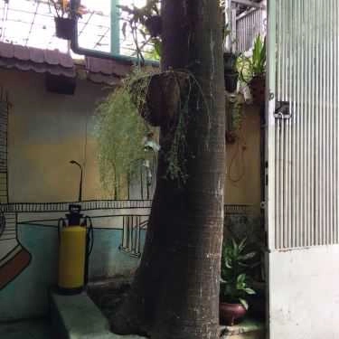 Tổng hợp- Homeland Coffee