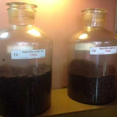 Tổng hợp- Hongla Coffee