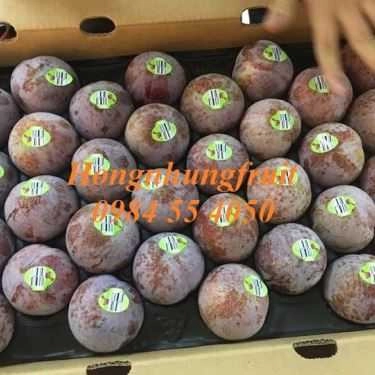 Tổng hợp- Hongnhung Fruit - Shop Online