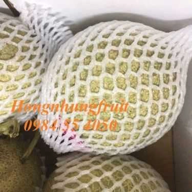 Tổng hợp- Hongnhung Fruit - Shop Online