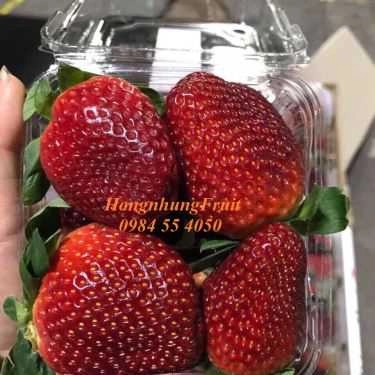 Tổng hợp- Hongnhung Fruit - Shop Online