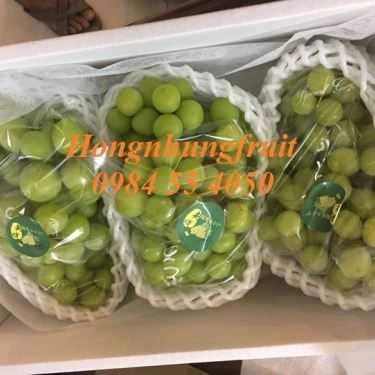 Tổng hợp- Hongnhung Fruit - Shop Online