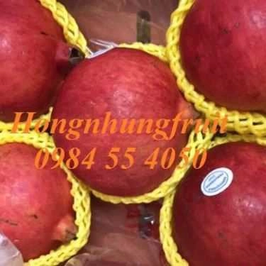 Tổng hợp- Hongnhung Fruit - Shop Online