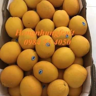 Tổng hợp- Hongnhung Fruit - Shop Online