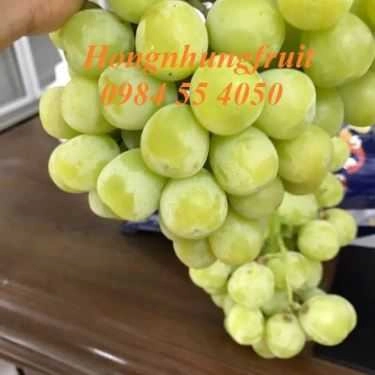 Tổng hợp- Hongnhung Fruit - Shop Online