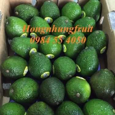 Tổng hợp- Hongnhung Fruit - Shop Online