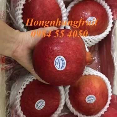 Tổng hợp- Hongnhung Fruit - Shop Online