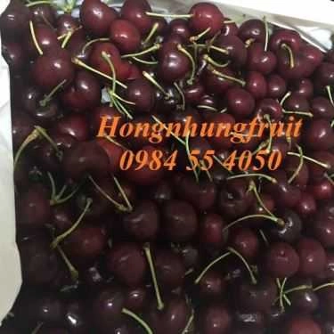 Tổng hợp- Hongnhung Fruit - Shop Online