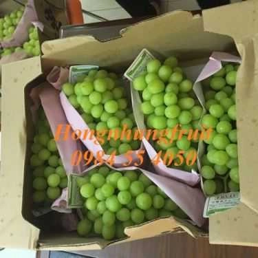 Tổng hợp- Hongnhung Fruit - Shop Online