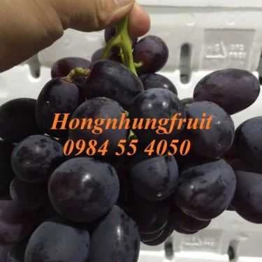 Tổng hợp- Hongnhung Fruit - Shop Online