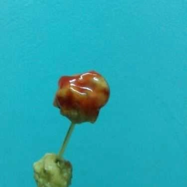 Tổng hợp- Cafe Hot & Cold - Trà Sữa & Xiên Que - Đường Số 7