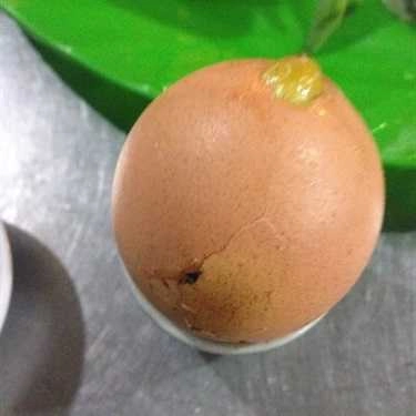 Món ăn- Ăn vặt Hột Gà Nướng Thái Lan - Đinh Tiên Hoàng