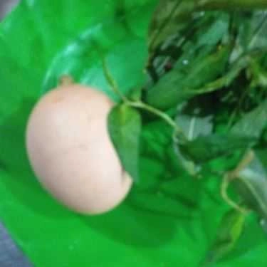 Món ăn- Ăn vặt Hột Gà Nướng Thái Lan - Đinh Tiên Hoàng