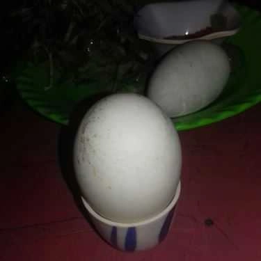 Món ăn- Ăn vặt Hột Vịt Lộn & Trứng Cút Lộn