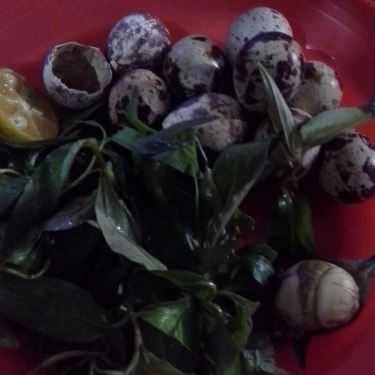 Món ăn- Ăn vặt Hột Vịt Lộn & Trứng Cút Lộn