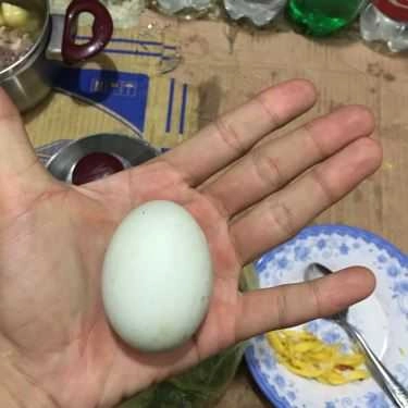 Món ăn- Ăn vặt Hột Vịt Lộn Úp Mề