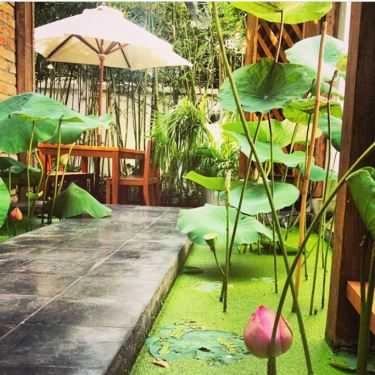 Tổng hợp- Quán Ăn Hum Vegetarian - Café & Restaurant