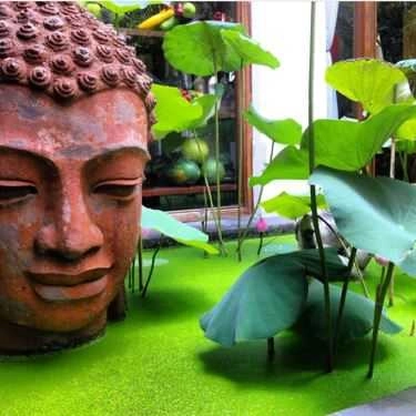 Tổng hợp- Quán Ăn Hum Vegetarian - Café & Restaurant