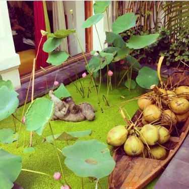 Tổng hợp- Quán Ăn Hum Vegetarian - Café & Restaurant