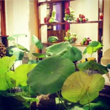 Tổng hợp- Quán Ăn Hum Vegetarian - Café & Restaurant