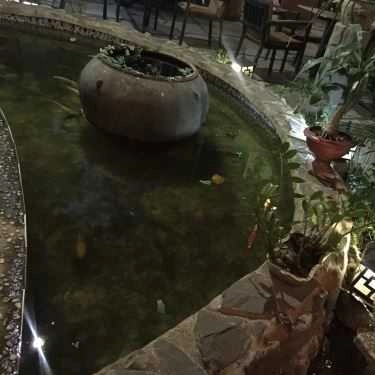 Tổng hợp- Hương Quỳnh Coffee
