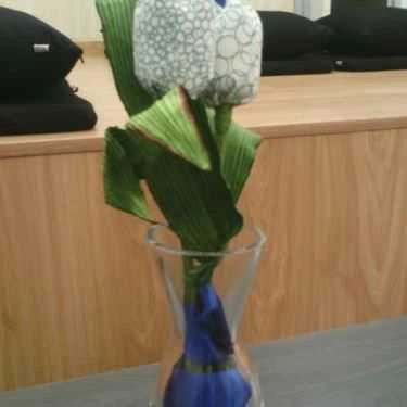 Tổng hợp- Ice Fox Cafe - Phim 3D