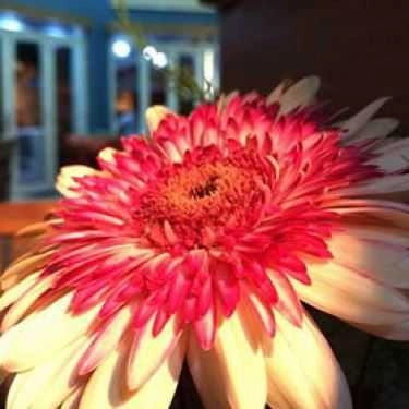 Tổng hợp- Cafe Inno Kafe