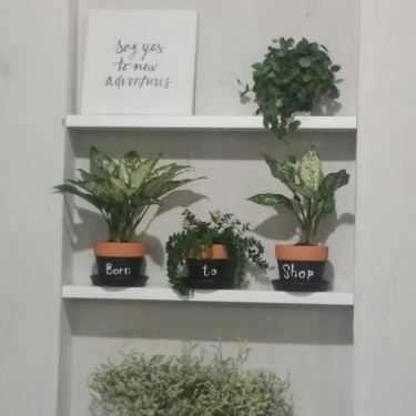 Tổng hợp- Izi Coffee To Go