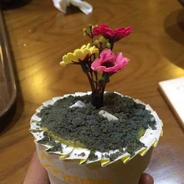 Tổng hợp- IZZIBING Snow Dessert Coffee - Bingsu