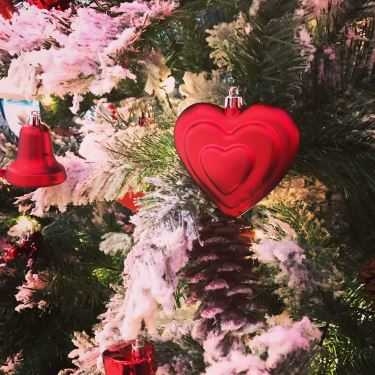 Tổng hợp- Joy - Not Only December Coffee