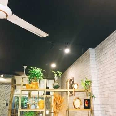 Tổng hợp- Cafe K-Tea