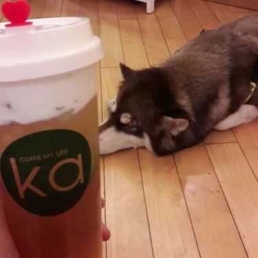 Món ăn- KA Coffee - Xô Viết Nghệ Tĩnh